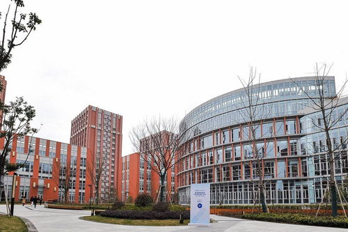 創意無疆界 上海交大與南加州大學合作下的長沙文創產業新圖景